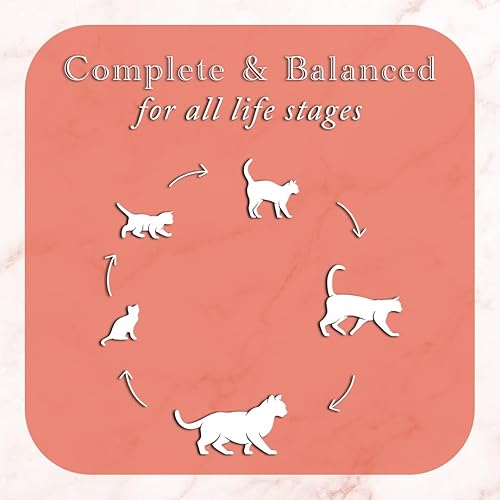 Miniatura 8 de Fussie Cat Fine Dining Paté - Alimento húmedo enlatado sin cereales para gatos, paquete variado de 4 sabores con tapa de lata (12 latas) (atún y