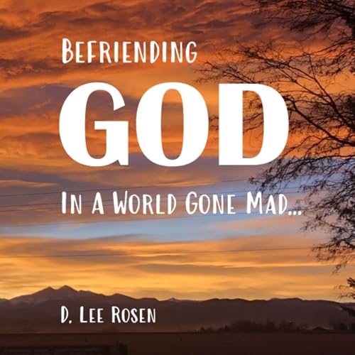 Page de couverture de Befriending God in a World Gone Mad...