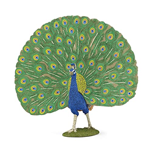 Papo, Realistic Peacock Figure Toy for Kids, Ages 3+, Farm Life Collection, Educational Play Animal Observation