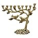 Ner Mitzvah Vintage Aluminum Candle Menorah - Fits All Standard Chanukah Candles - Tree of Life Design with Antique Gold Finish