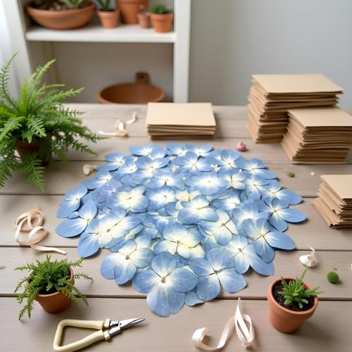 Flores secas preservadas azules, pack 12 piezas miniatura 4