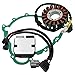 Stator Coil Rectifier Stator Gasket for Triumph Daytona 675 2008-2012 for Triumph Daytona 675 R 2011-2012 for Triumph Street Triple 675 2008-2012 for Triumph Street Triple 675R 2009-2012
