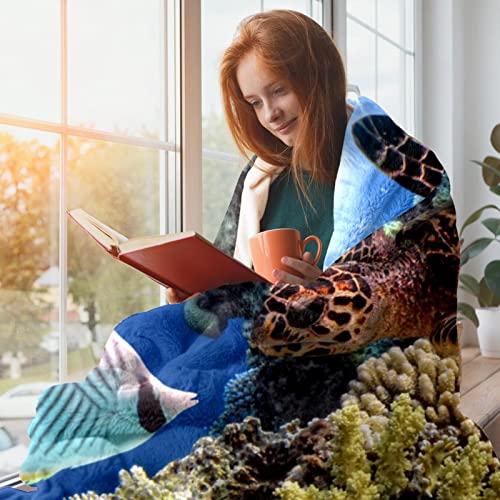 Couverture polaire tortue de mer un cocon de douceur pour le lit