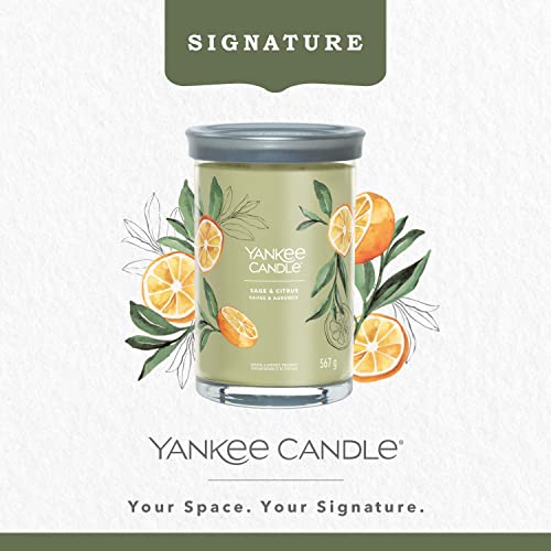 Yankee Candle Signature Scented Candle, Sage, Large - Image 2