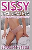 scarlett solo bundle review  Sissy Feminization - From Alpha Male to Feminized Sissy - 5 Book Bundle - Volume 13