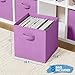 Royexe Storage Cubes Pack Of 8 - Standard Size Cube Storage Bin 10.5x10.5x11 With Dual Handles For Easy Carrying- Fabric Storage Bins Collapsible (Purple)