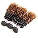 RACILY 1B/#30 Ombre Brazilian Kinky Curly Hair 3 Bundles, 10A Remy Dark Blonde Curly Weave Human Hair Extensions 100g, 100% Unprocessed Brazilian Virgin Hair Color Brown (10