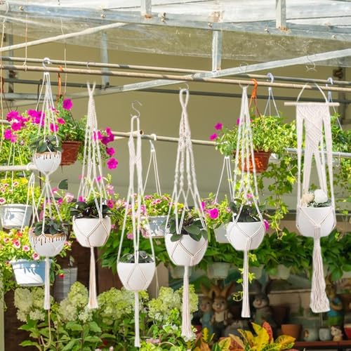 Pots de fleurs suspendus pour valoriser les coins vides du salon