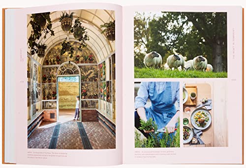 Slow Escapes: Rural Retreats for Conscious Travelers