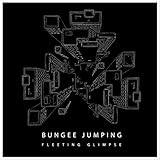 Fleeting Glimpse