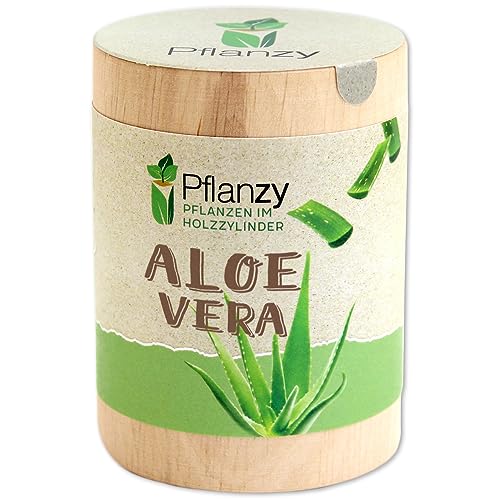 Feel Green Pflanzy Aloe Vera, Nachhaltige Geschenkidee (100% Eco Friendly), Grow Your Own/Anzuchtset, Pflanzen im Holzzylinder, Made in Austria, Holz