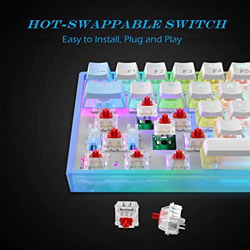 Womier Wk61 60% Keyboard, Hot-Swappable Keyboard Ultra-Compact Rgb Gaming Mechanical Keyboard W/Pudding Keycaps, Linear Red Switch, Pro Driver/Software Supported - Glacier Blue #TOP2