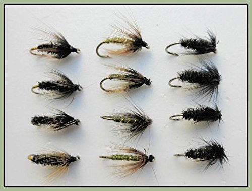 12 Wet Fishing Flies - Black & Peacock, Coch y bondhu, Greenwell Hackled (10/12)