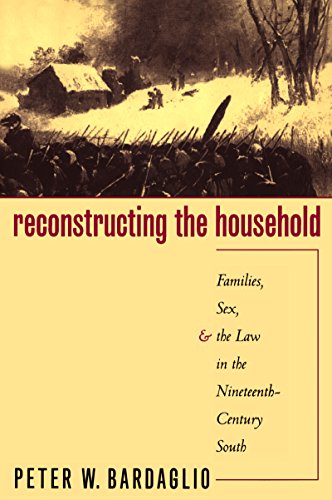 Reconstructing the Household: Families, Sex, and the Law in the Nineteenth-Century South (Studies in Legal History)