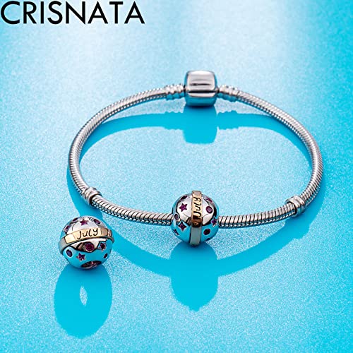 Jan-Dec Birthstone Planet Ball Charms with 12 Month Birthday Stone, 925 Sterling Silver 2 Tone Rose Gold Round Globe Beads, fits European Snake Charm Bracelet, Gifts for Mom/Wife/Father/Children/Grandma3