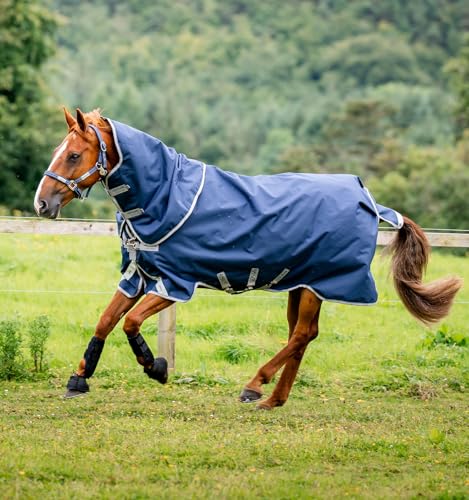 Image of Horseware Amigo Bravo 12 Plus Turnout 400g - Navy /Titanium Grey & Silver, 66 inches