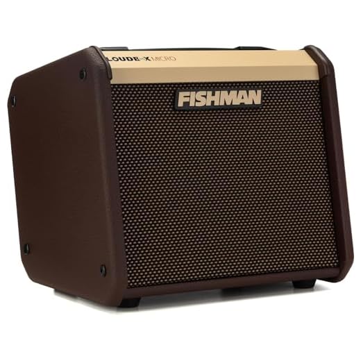 Fishman Loudbox Micro - Amplificador Combinado acústico de 40 vatios 1 x 5.25 Pulgadas