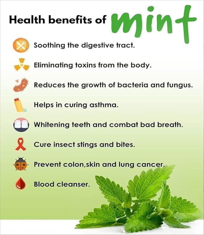 Green Mint Leaf Powder Pudina Leaf Powder -100 GM