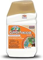 Amazon.com: fungicides for plants
