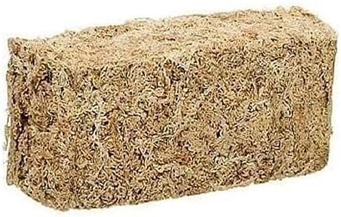 Zoo Med Laboratories SZMCF25 New Zealand Sphagnum Moss, .33-Pound...