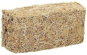 Zoo Med Neuseeländisches Sphagnum Moos Terrariensubstrat 150 gr