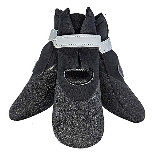 Bottes antidérapantes pour chien de compagnie protection pattes neige