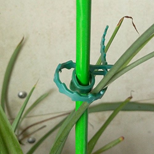 Exttlliy Plastic Reusable Adjustable Garden Plant Twist Tie Gardening Flexible Vines Tie for Garden Home Use Green (60Pcs)