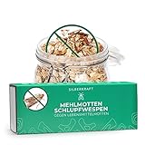 Silberkraft Mehlmottenschlupfwespen gegen Lebensmittelmotten - Habrobracon - natürliche Bekämpfung von Mottenlarven - direkt vom Schädlingsbekämfpungs-Experten - biologisch und nachhaltig
