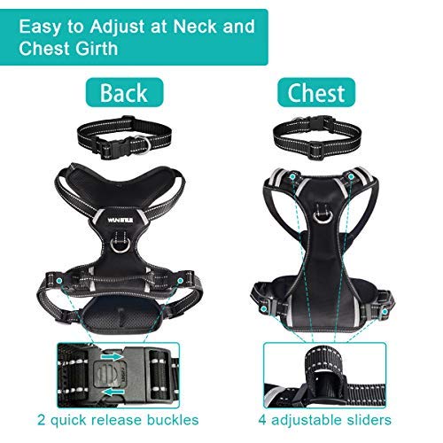 winsee dog harness
