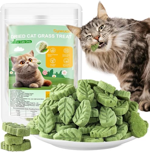 100g Catnip Cat Grass Toys for Indoor Cats for Hairball Remove and Teeth Cleaning (100g)