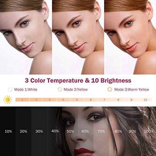 Ringlicht Mit Stativ Handy, 10 Zoll Ringlicht mit 2 Stativ für Live Streaming/Videokonferenz/YouTube/Makeup, LED… – Bild 4