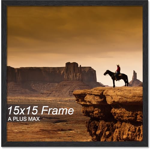 A PLUS MAX 15x15 Picture Frame Black Light Weight Wall Mount