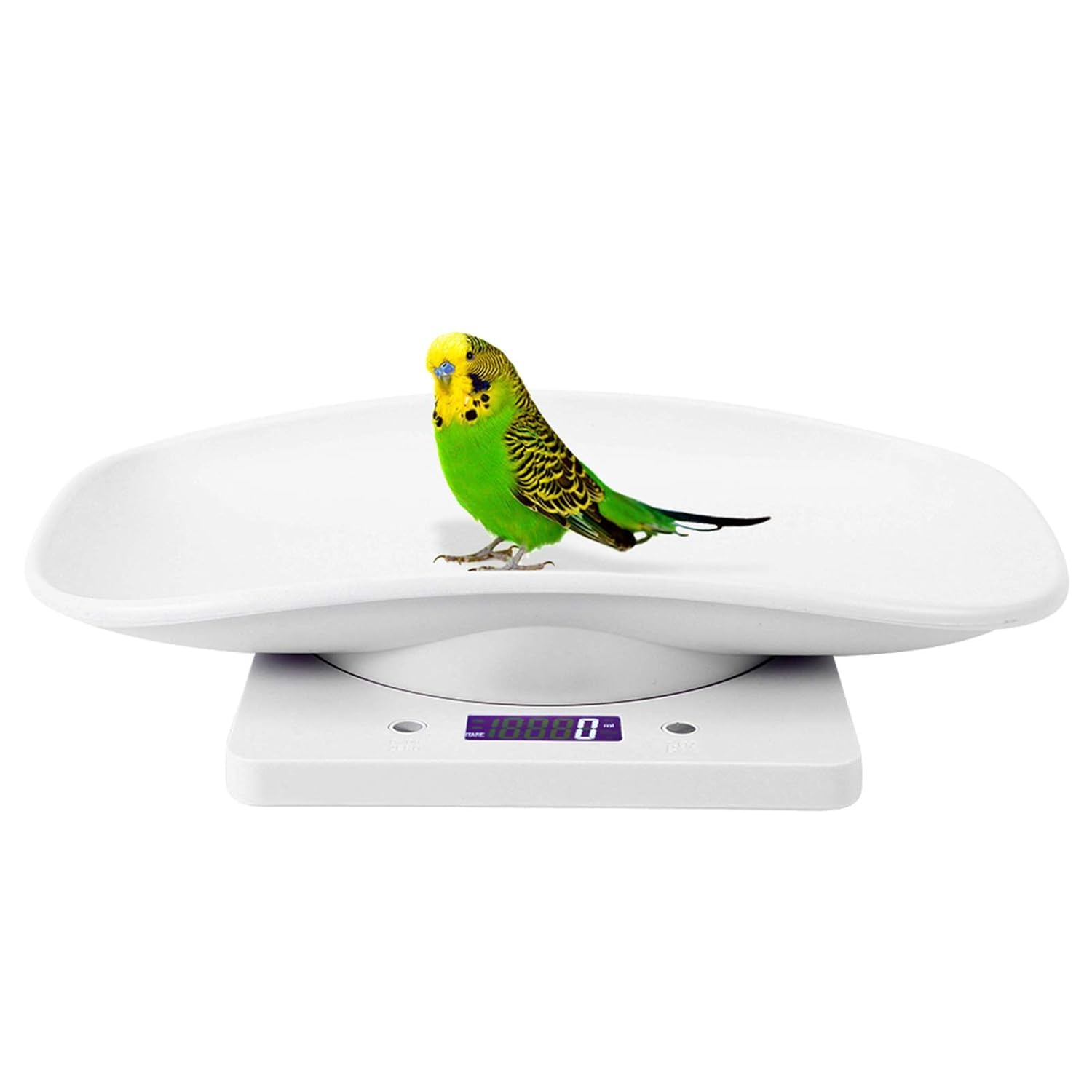 Bilancia Digitale di Alta Precisione per Animali Domestici 10 kg/1 G, Bilancia Portatile A LED per Cani, Gatti E Cuccioli, Bilancia da Cucina Ideale per Pesare con Precisione Cibo E Animali.