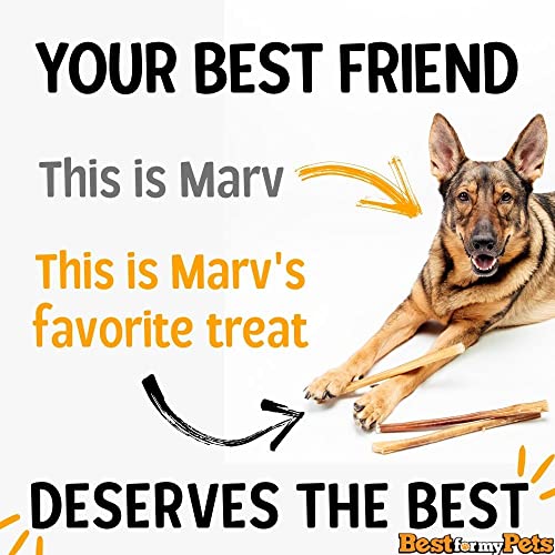 Best For My Pets Odor Free Bully Sticks, Long-Lasting Chews To Keep Puppies And Dogs Happily Busy, All-Natural Fully Digestible, 6-Inch Long, 8-Ounce Bag #TOP7
