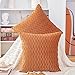 Madizz Juego de 2 Terciopelo Decorativo Funda de cojíns Lujo Estilo Fundas de Almohada para el sofá Dormitorio Naranja Cuadrado 50 x 50 cm