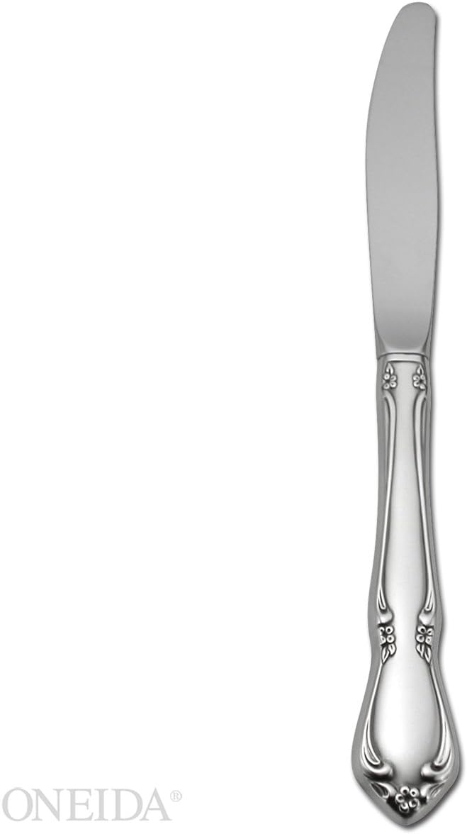 Amazon.com: Oneida Chateau Dinner Knife : Home & Kitchen