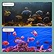 EXLECO Aquarium Strömungspumpe Wavemaker 6000L/H 8W Umwälzpumpe Magnet Wellenpumpe WAVE MAKER 360 ° schwenkbar für 80~100cm Süß- und Salzwasseraquarien Schwarz