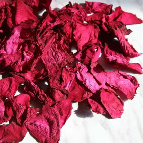 QIUMING 20/50/100 g de pétales de Rose séchés pour Mariage, fête d'anniversaire, décoration de fête, décoration Romantique de la Saint-Valentin