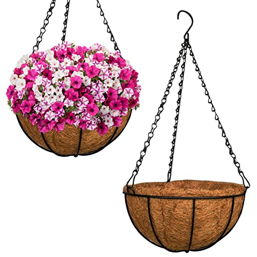 Zeedix 2 Packs 12In Metal Hanging Planter Basket With Coconut Coir Liner- Coconut Coir Liner With Black Chain For Porch Pots Hanger, Indoor Outdoor Plant Flower Pot, Garden Decorations #TOP15