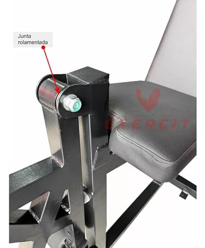 Cadeira Mesa Flexora e Extensora p/ Anilhas Reforçada - Exercit 2.0