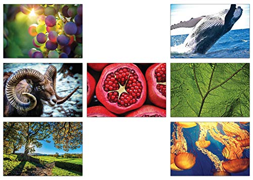 La natura è incredibilmente - 28 cartoline che