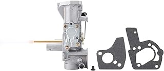 Carburatore di Ricambio per Briggs & Stratton 498298 130202 112202 112232 134202 137202 5Hp, Il carburatore sostituisce Il Vecchio Briggs