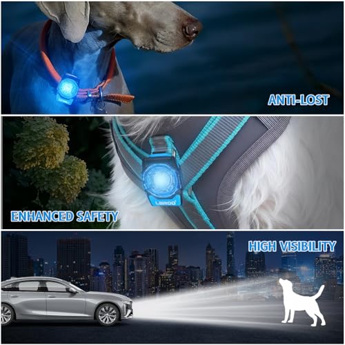 AMFUN LED Hundehalsband Licht, Hundelicht, Wasserdicht USB Haustier Sicherheitslicht für Hunde, Katze & Besitzer Sichtbarkeit, für Laufen & Camping