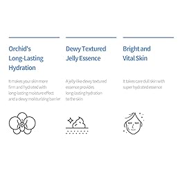 JMsolution Marine Luminous Pearl Deep Moisture 3 Step Skin Care Face Mask - Korean Skincare Facial Mask - boosting Brightening Moisturizing-10 Sheets for Dry Skin (Orchid)