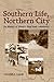 Southern Life, Northern City: The History of Albany's Rapp Road Community (Excelsior Editions)