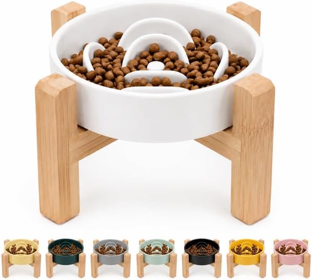 Comedouro elevado lento de cerâmica para cães Petygooing com labirinto e suporte de bambu branco, 28,96 × 24,89 × 11,43 cm