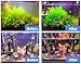 AQUANEAT Aquarium Filter 5W with Spare UV Bulb Green Water Killer Submersible Pump Filter 132 GPH for 75 Gallon Fish Tank (5W)