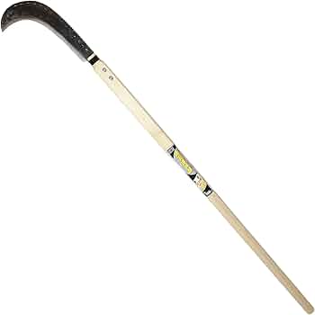 51OSGpukhoL._AC_UF350,