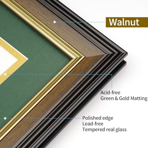 FrameMind Double Diploma Frame 14x20, Display Two 8.5x11 Degree, Certificates, Documents, Tempered Glass with Acid-Free Green over Gold Mat, Dual Diploma Frame for Graduation, Walnut with Gold Trim by FrameMind - Image 3
