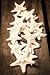Hinterland Trading Knobby Starfish for Decoration, Small, White